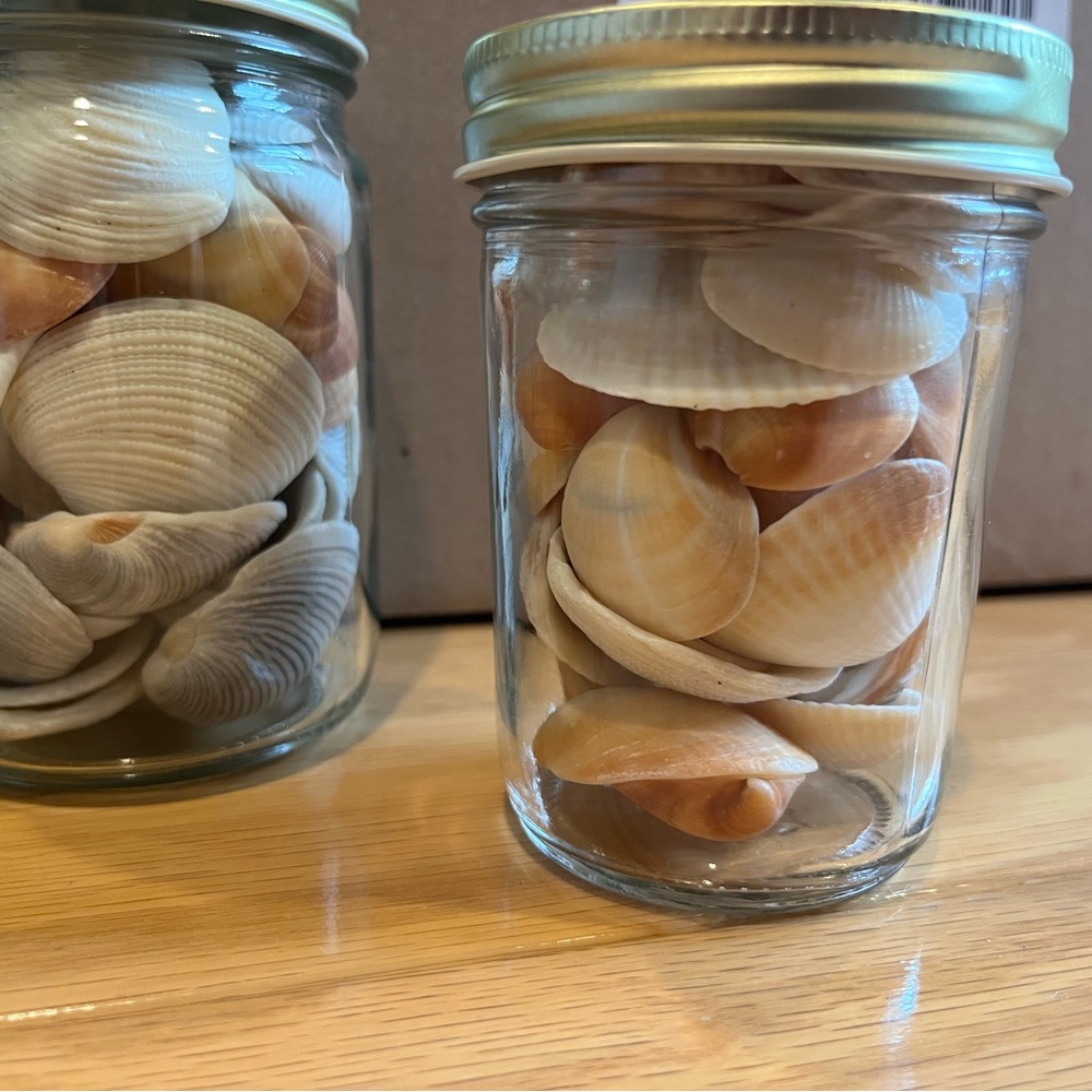 Decorative Seashell Jars - Picture 3 of 3